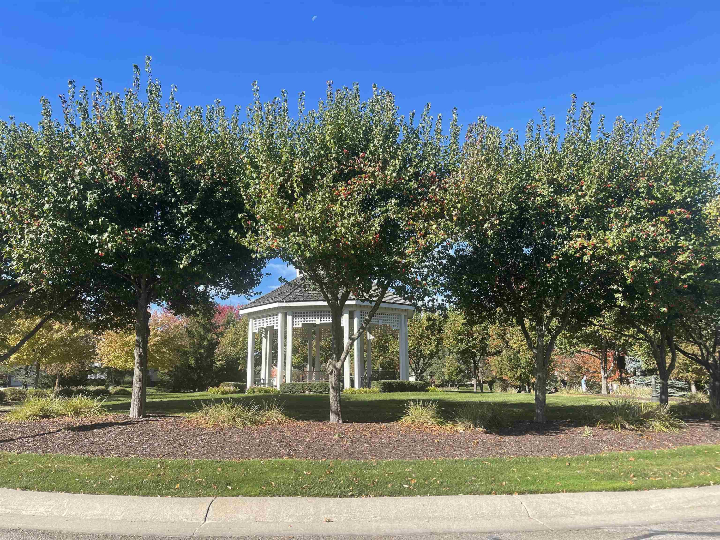 2794 Castlemartin Court, MI 48306 — Photo 56