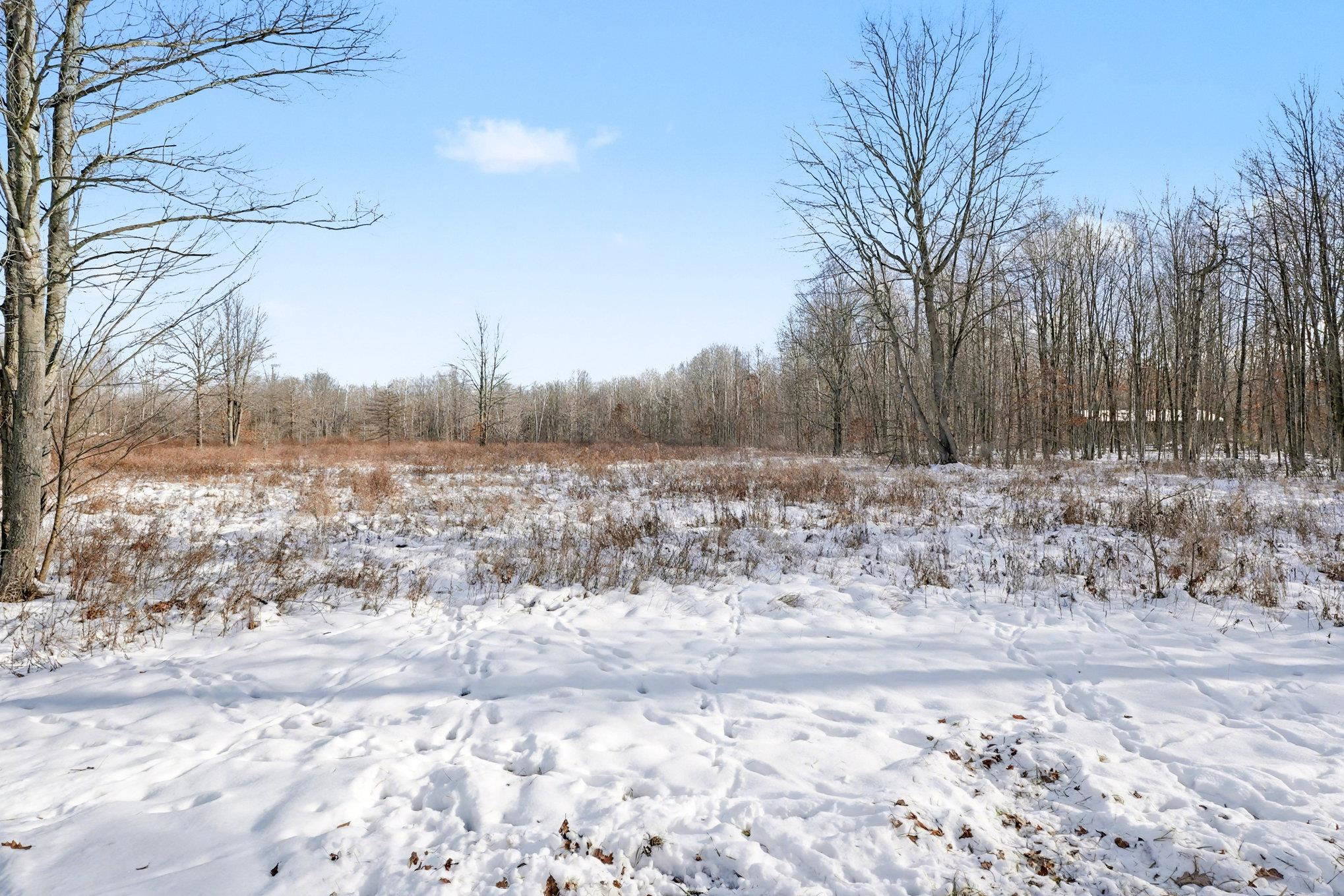 635 SE County Line Road, Mount Pleasant, MI 48883 — Photo 26