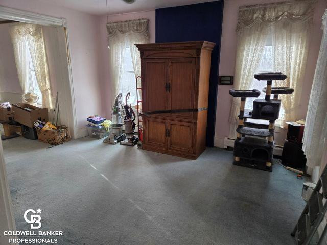 10729 Brandon Road, Emmett, MI 48022 — Photo 17