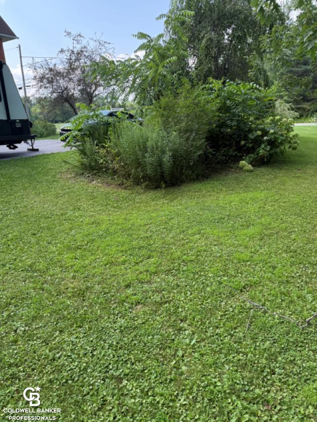 10729 Brandon Road, Emmett, MI 48022 — Photo 34