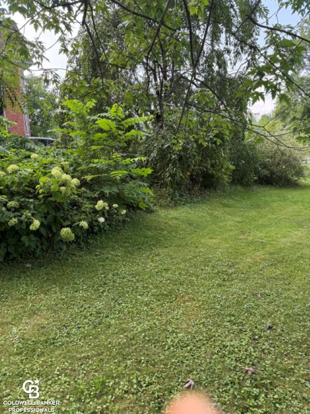 10729 Brandon Road, Emmett, MI 48022 — Photo 35