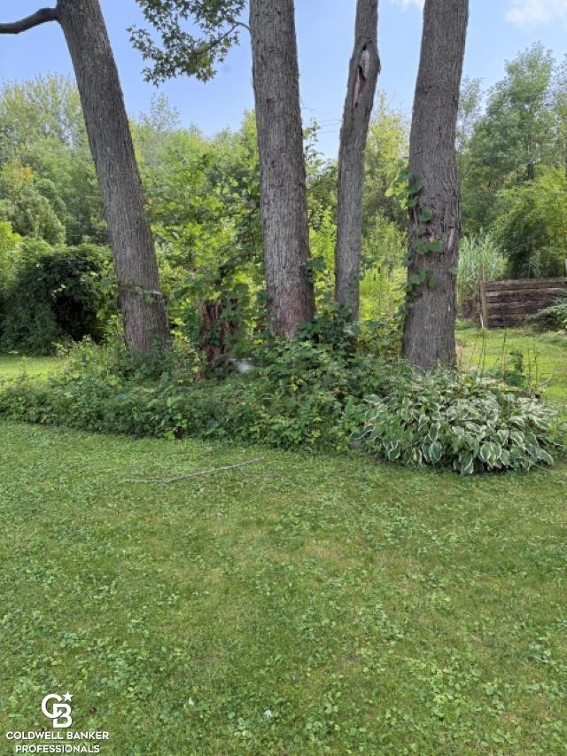 10729 Brandon Road, Emmett, MI 48022 — Photo 44