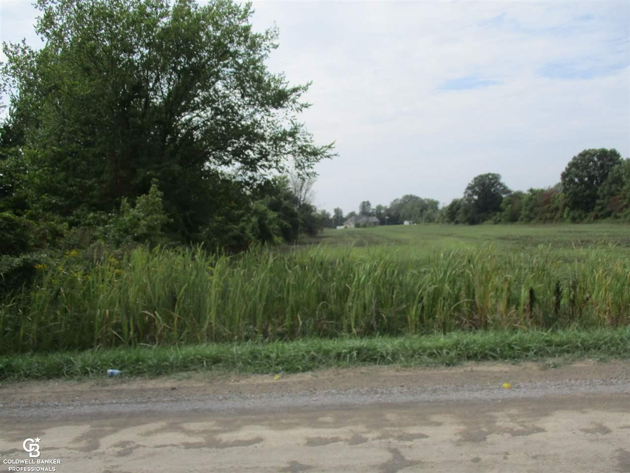 00 Angling Rd #6 Road, Richmond, MI 48062 — Photo 11