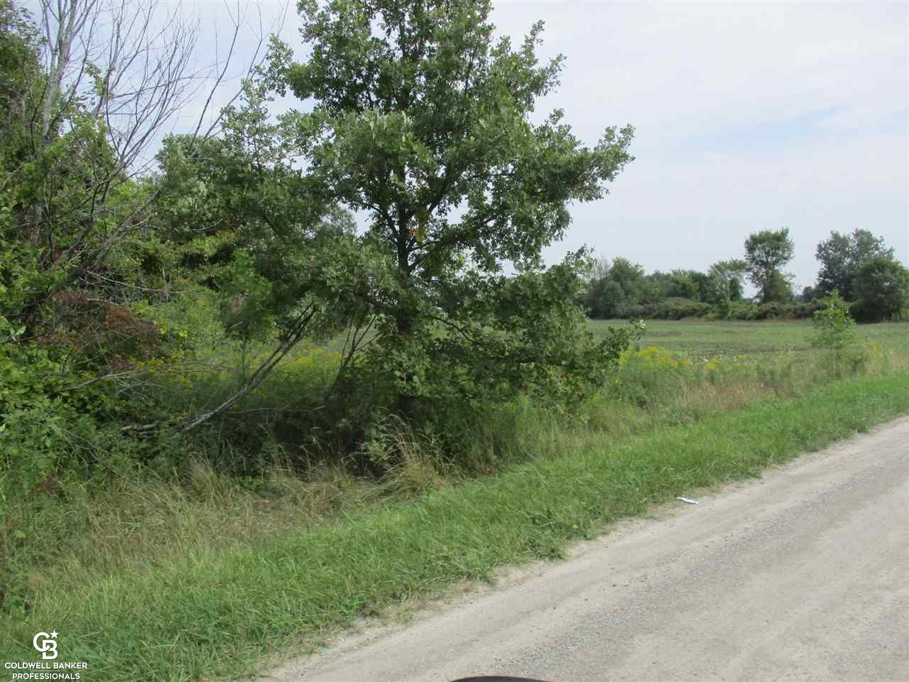 00 Angling Rd #6 Road, Richmond, MI 48062 — Photo 4