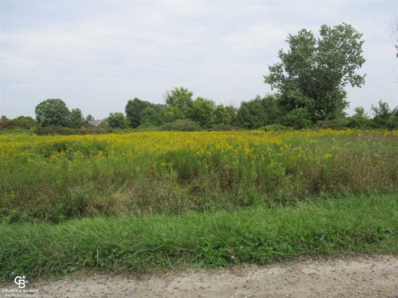00 Angling Rd #6 Road, Richmond, MI 48062 — Photo 6