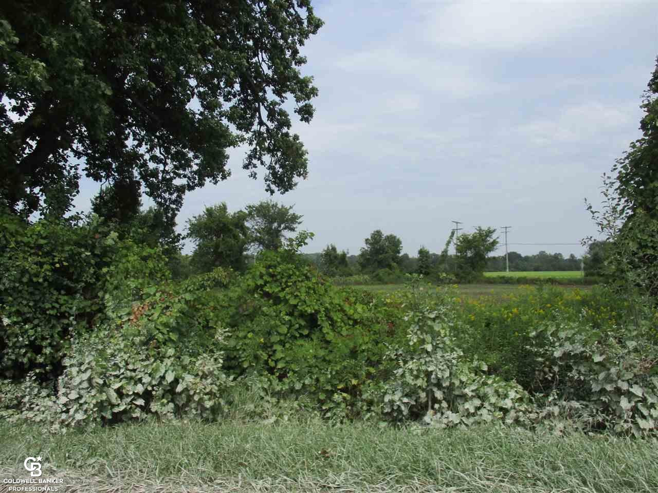 00 Angling Rd #6 Road, Richmond, MI 48062 — Photo 9