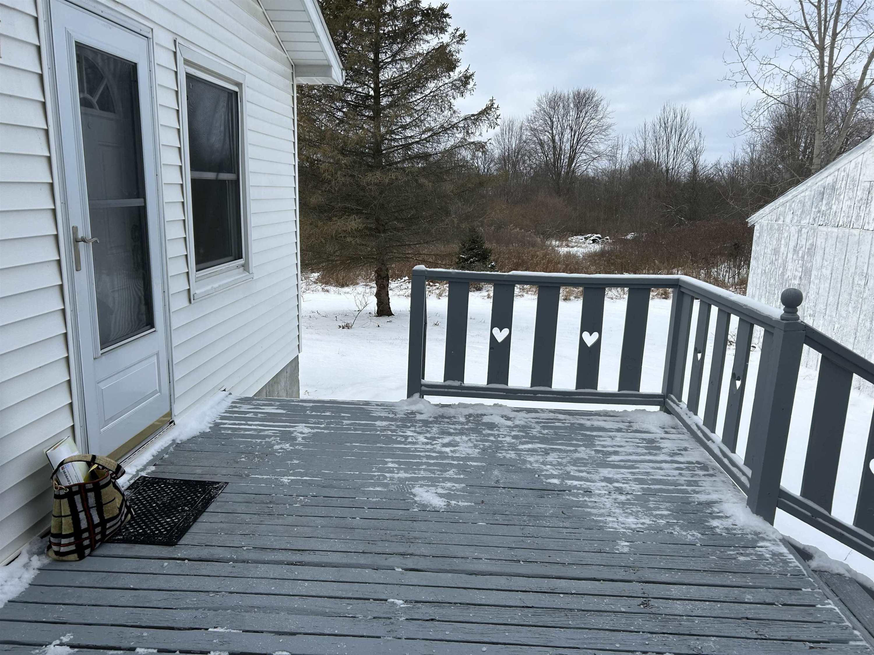 13146 S Reed Road, Byron, MI 48418 — Photo 27