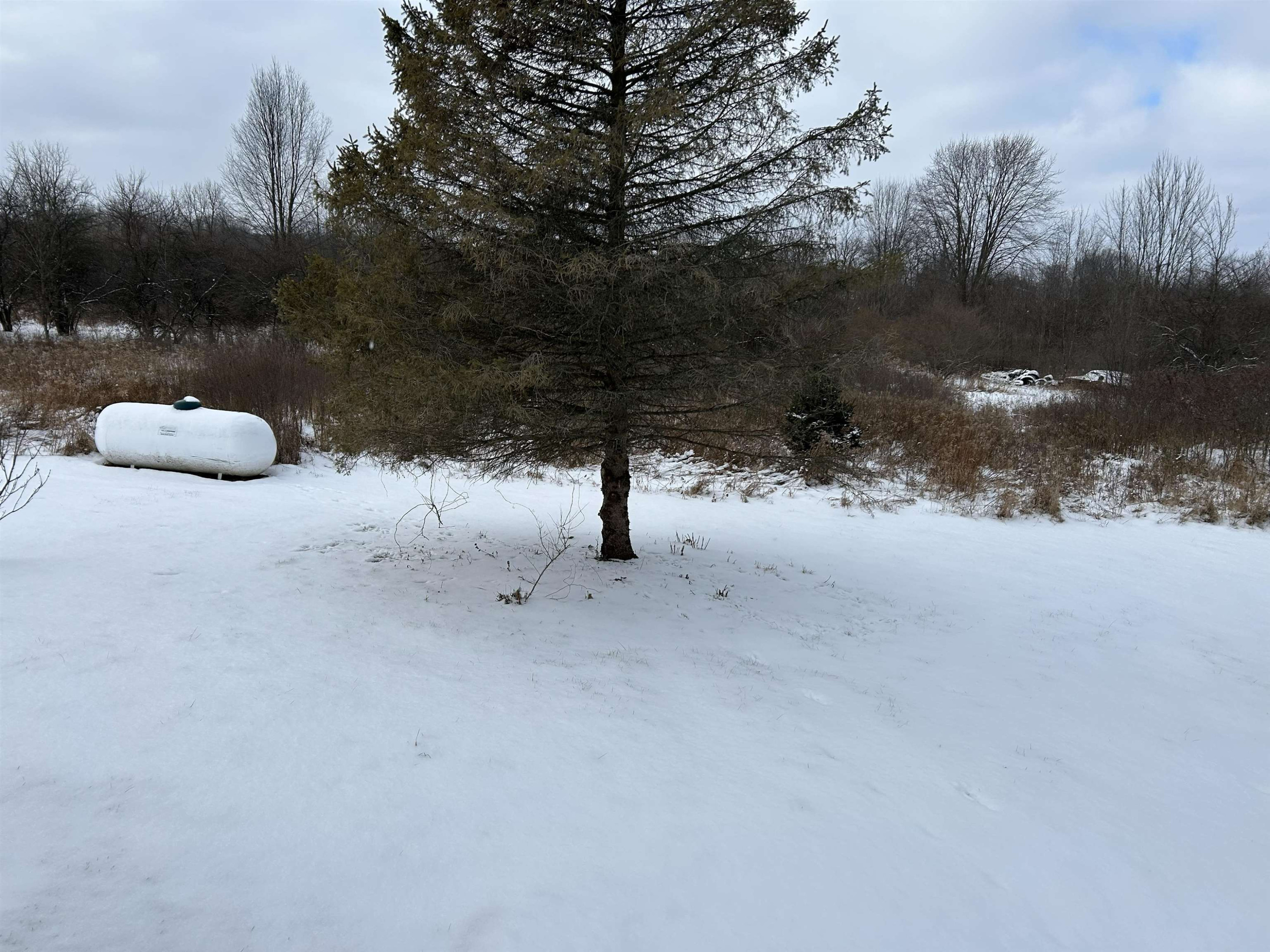 13146 S Reed Road, Byron, MI 48418 — Photo 35
