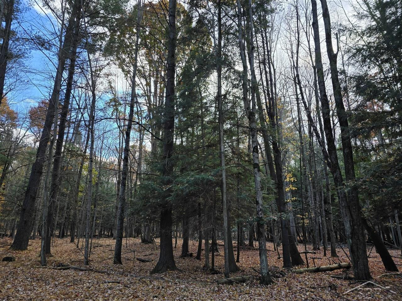 9191 Deerfield Court, Stanwood, MI, 49346