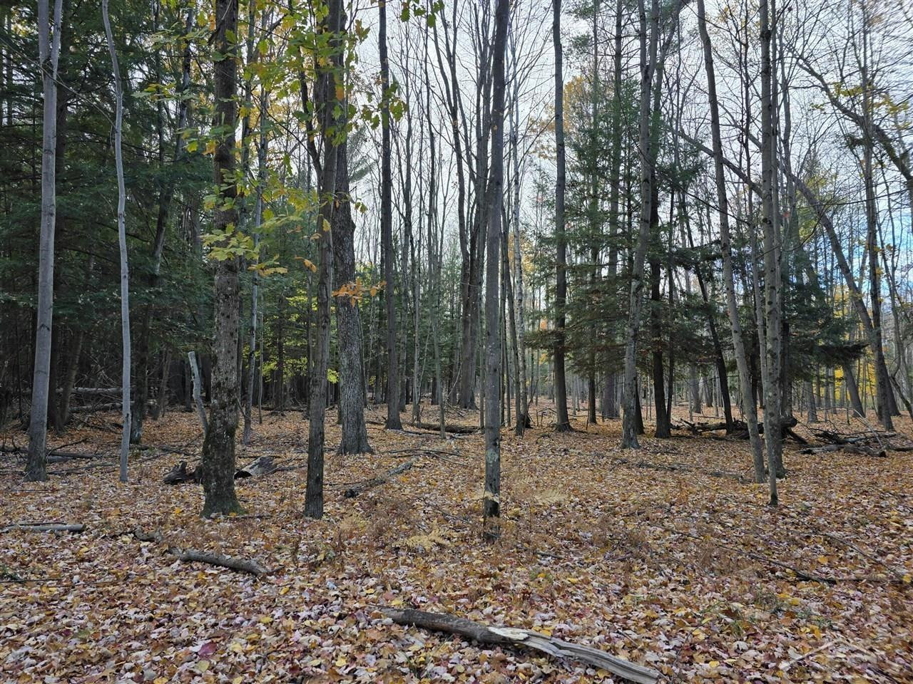 9191 Deerfield Court, Stanwood, MI, 49346