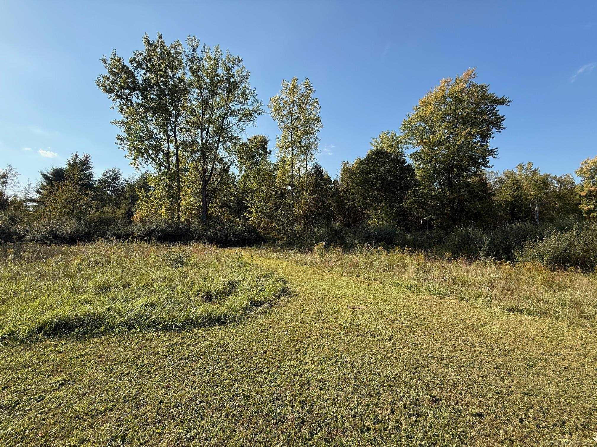 1540 W Sanilac Road, Caro, MI 48723 — Photo 24
