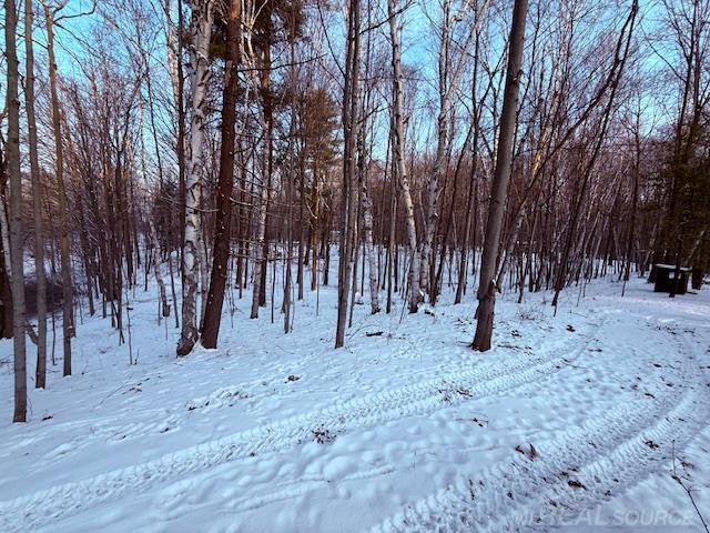 1591 Winslow Road, Attica, MI 48412 — Photo 59