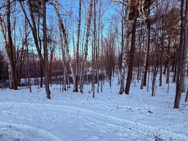 1591 Winslow Road, Attica, MI 48412 — Photo 60