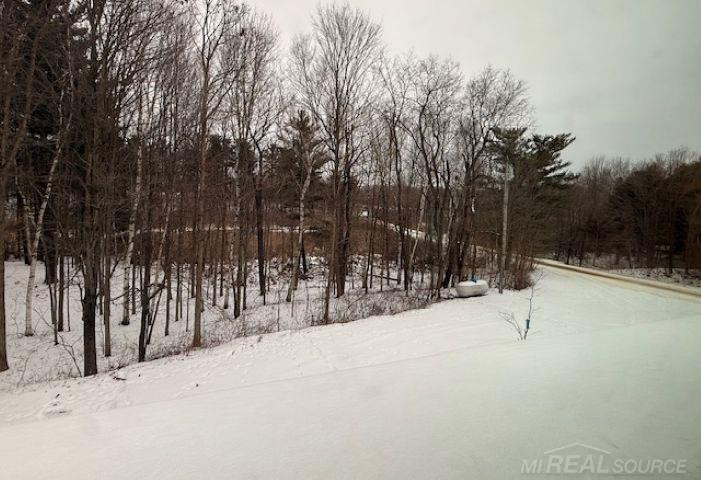 1591 Winslow Road, Attica, MI 48412 — Photo 61