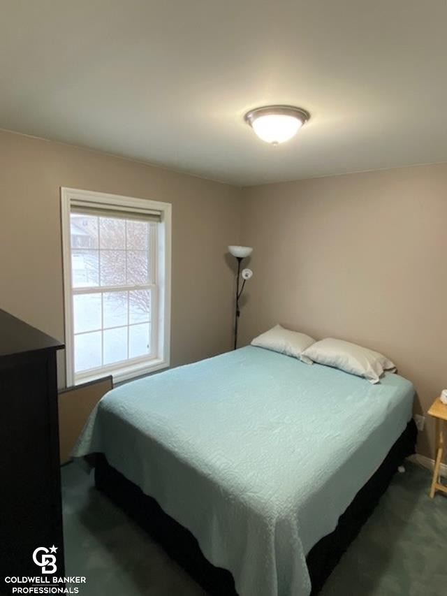 68099 Seymour Street, Richmond, MI 48062 — Photo 4