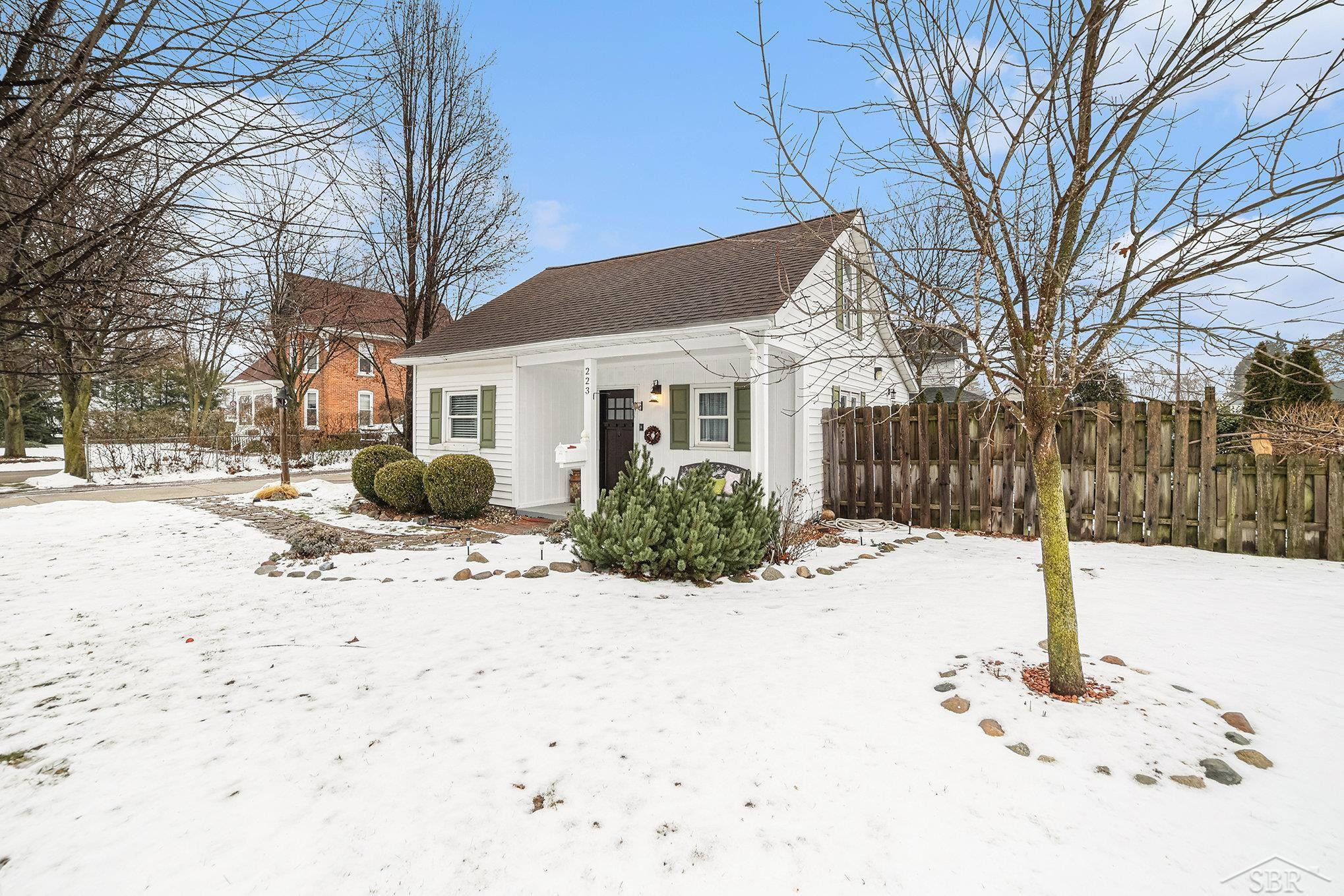 223 W Hosmer Street, Saint Charles, MI 48655 — Photo 3