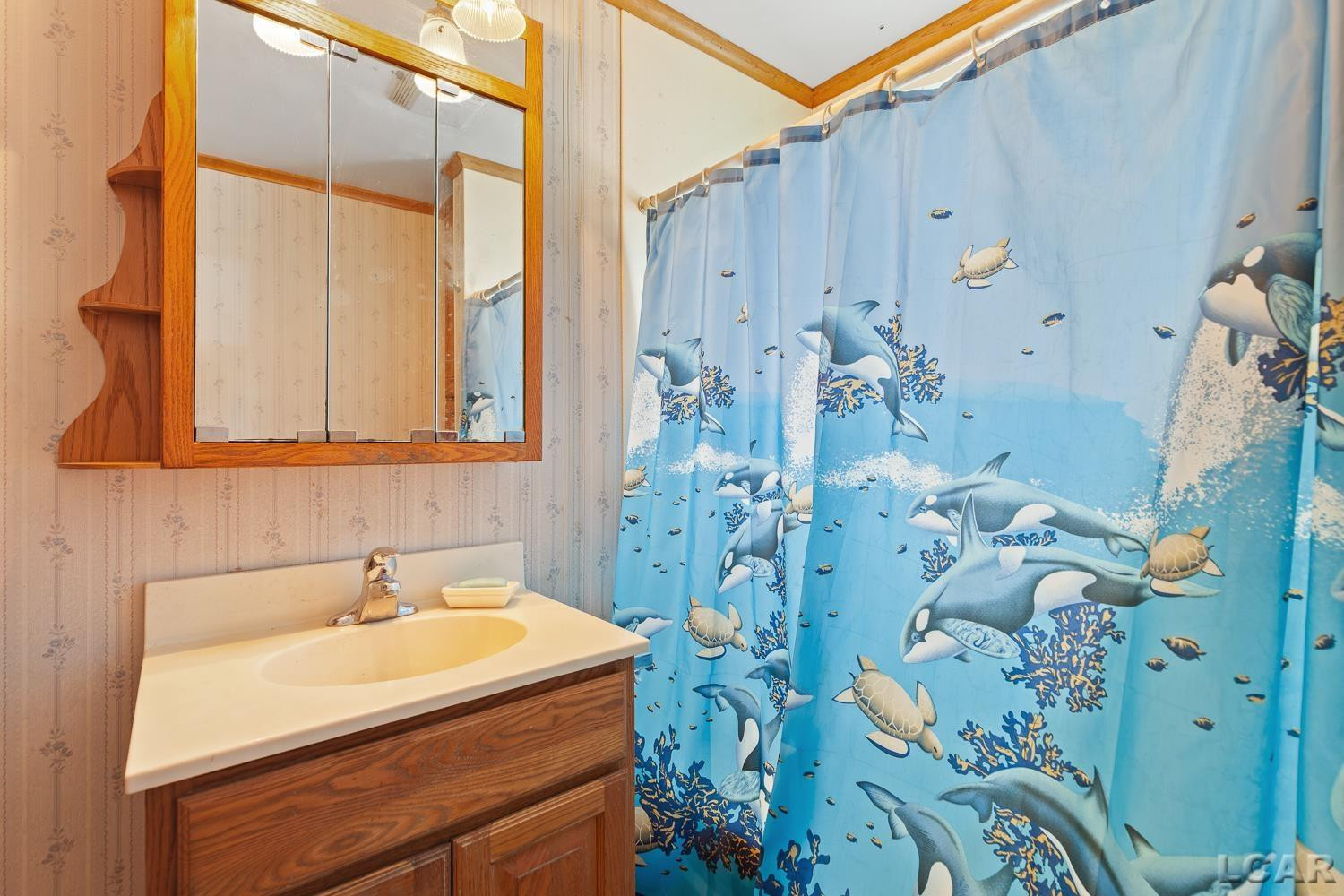 3550 Townline Highway, Adrian, MI 49221 — Photo 32