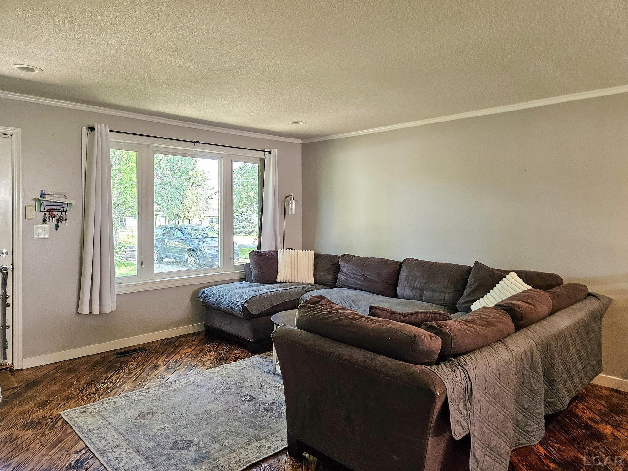 6003 Lake Road, Osseo, MI 49266 — Photo 8