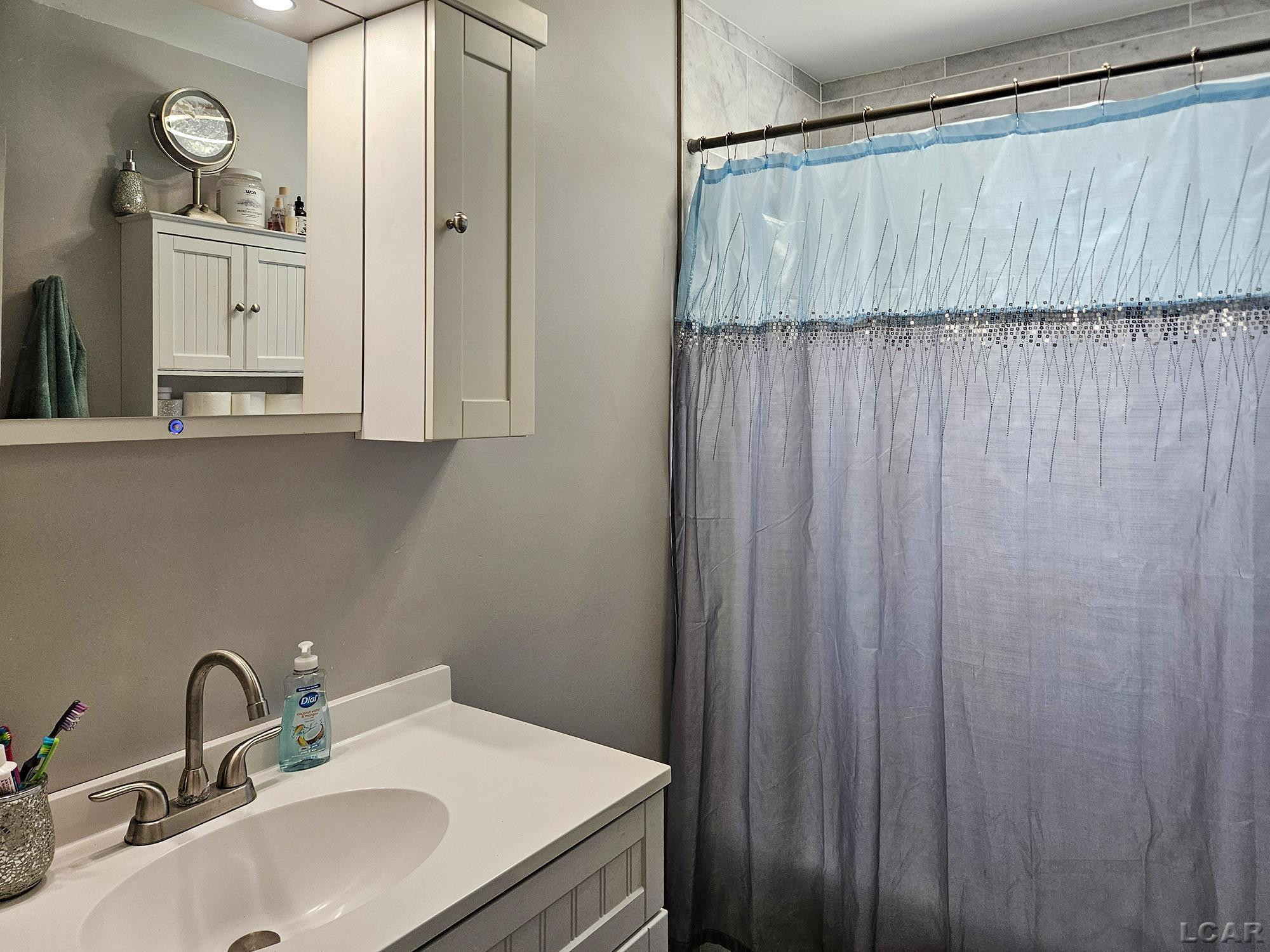 6003 Lake Road, Osseo, MI 49266 — Photo 12