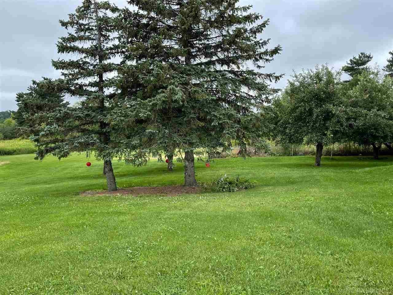 9973 Slattery Road, Clifford, MI 48727 — Photo 22