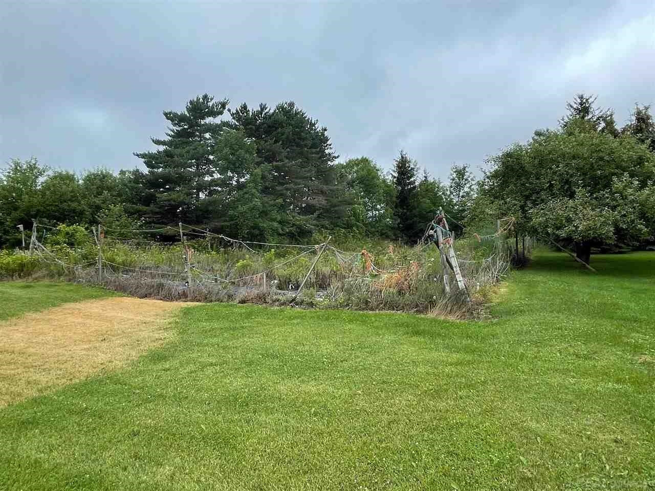 9973 Slattery Road, Clifford, MI 48727 — Photo 23