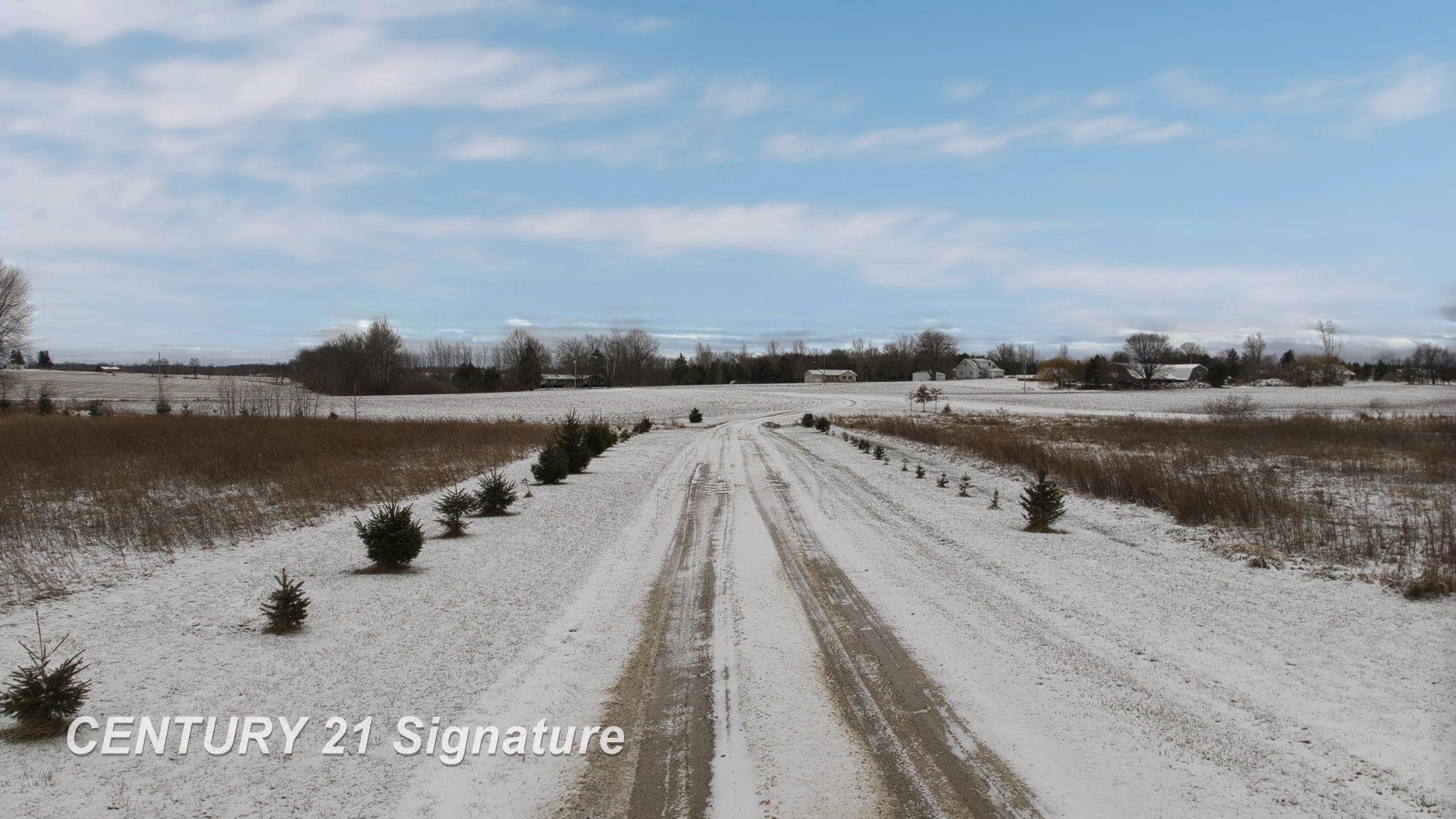 4625 E Hibbard Road, Corunna, MI 48817 — Photo 10