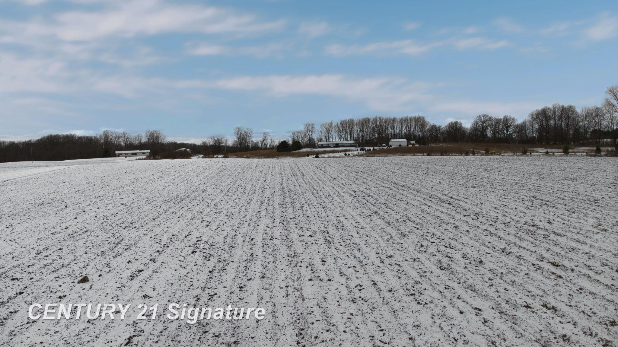 4625 E Hibbard Road, Corunna, MI 48817 — Photo 12