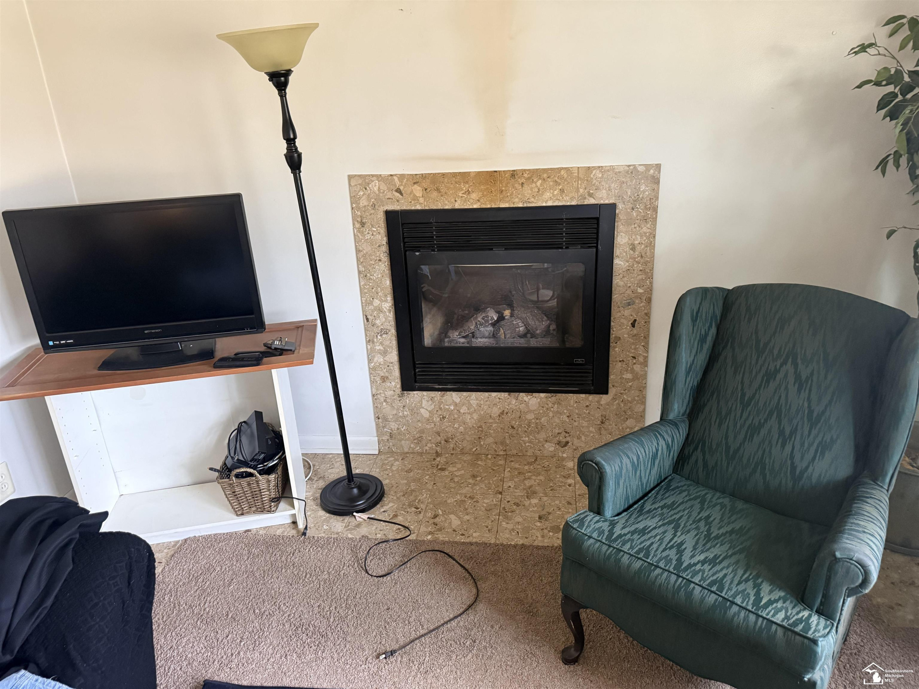 540 S Concetta, MI 48161 — Photo 6