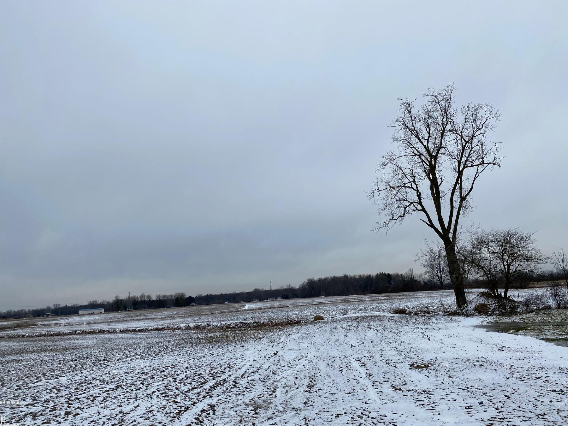 9977 Weber Road, MI — Photo 3