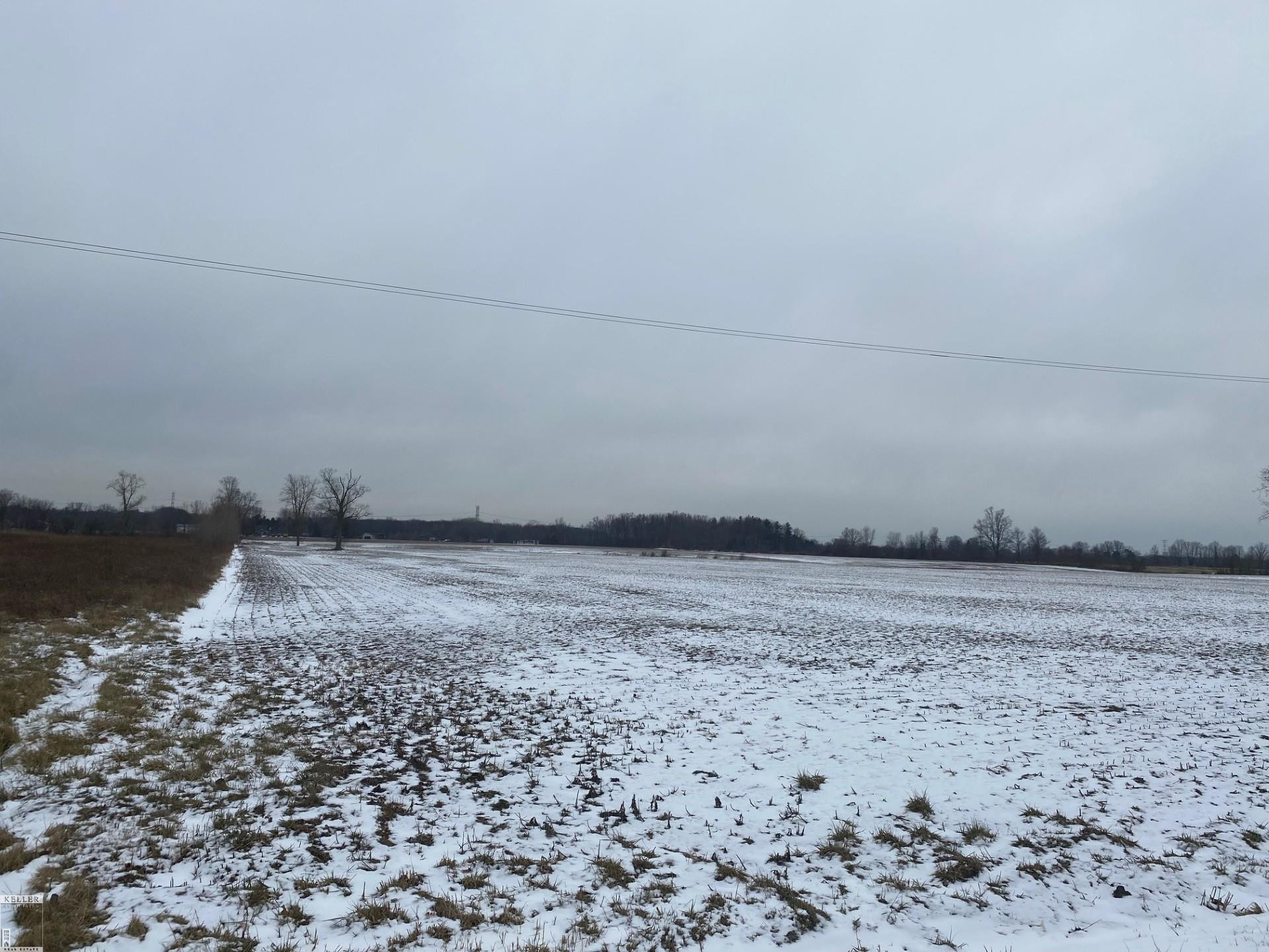 9977 Weber Road, MI — Photo 4