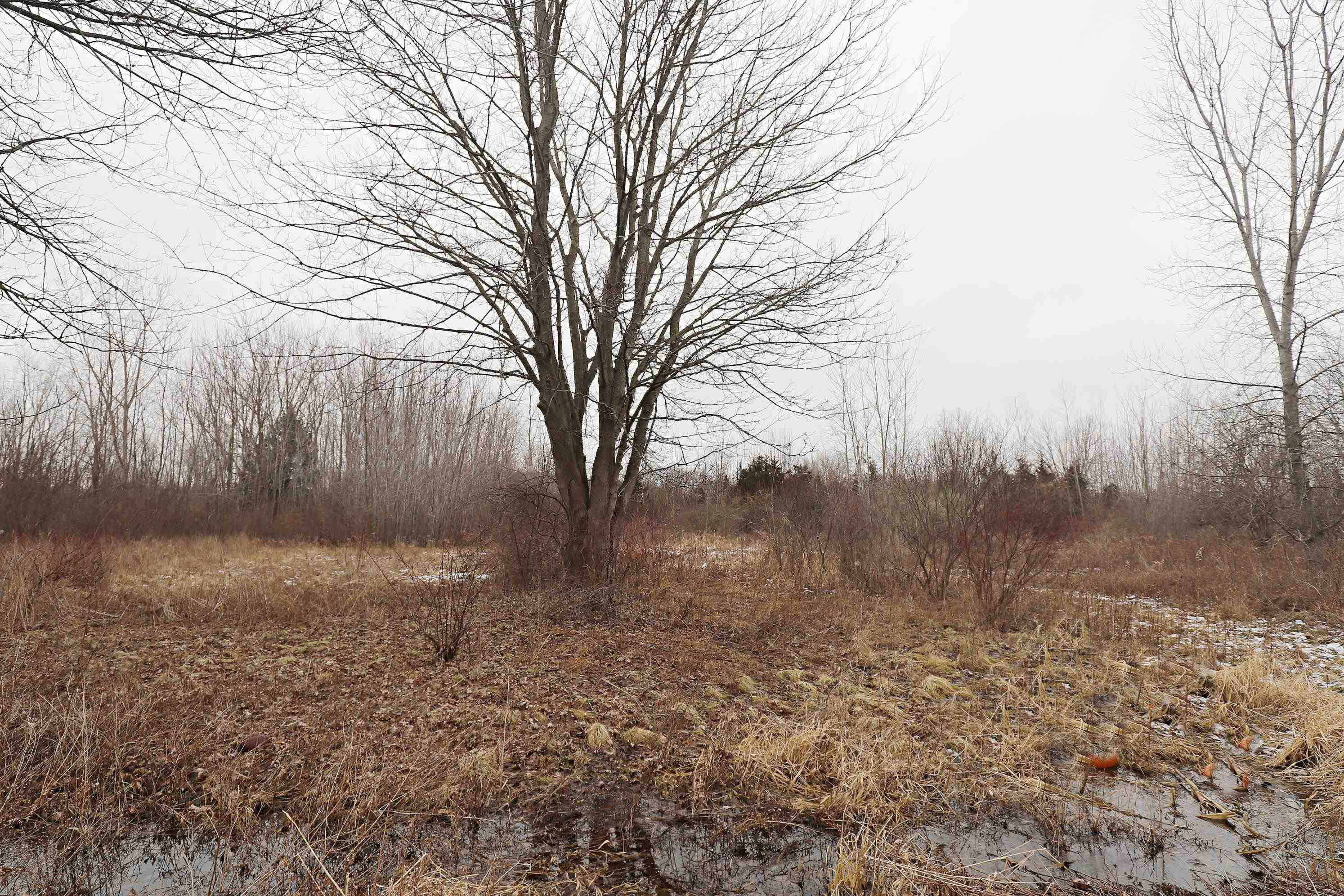 12803 Brady Road, Chesaning, MI 48616 — Photo 12