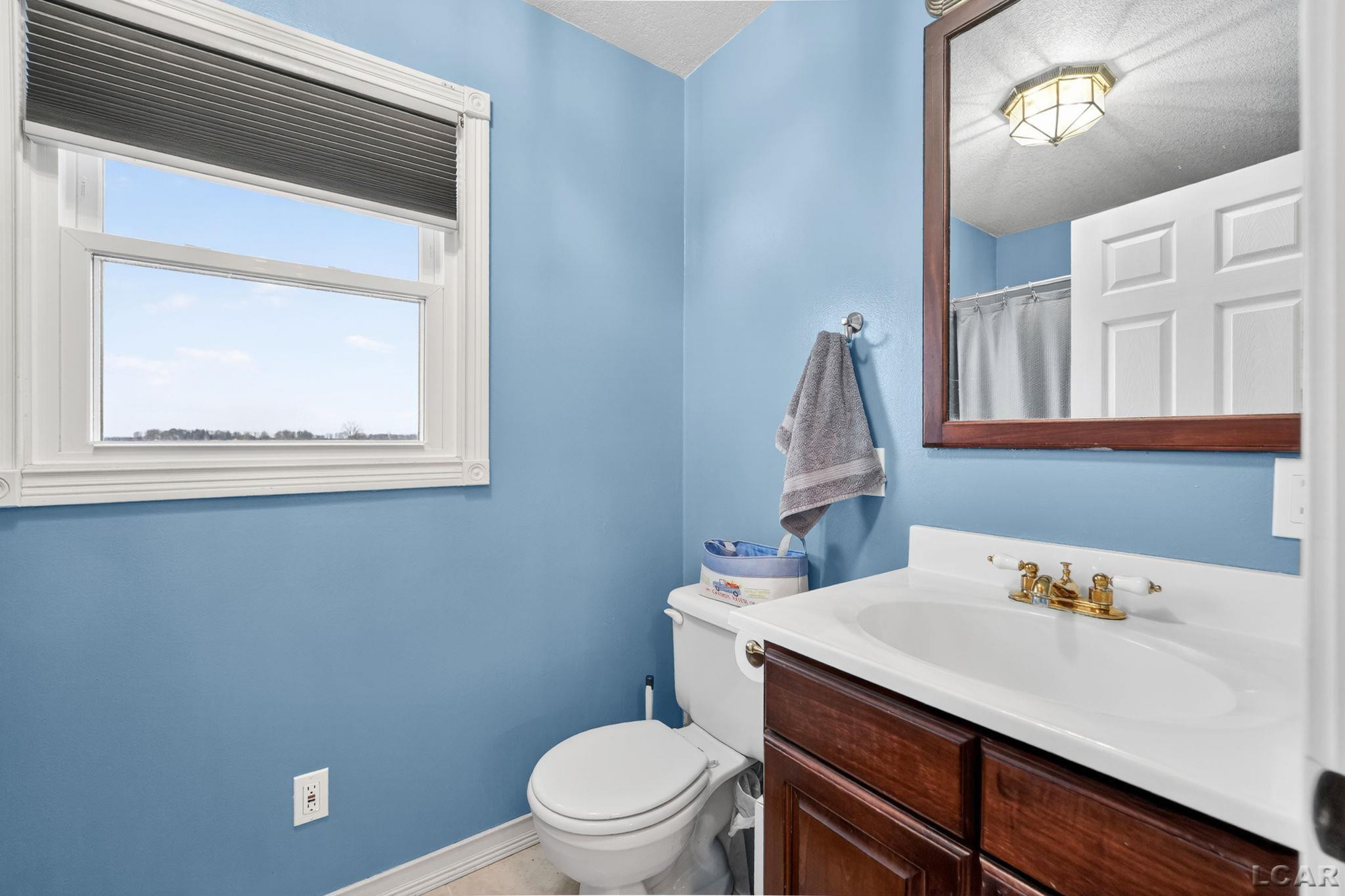 440 North Street, Blissfield, MI 49228 — Photo 23