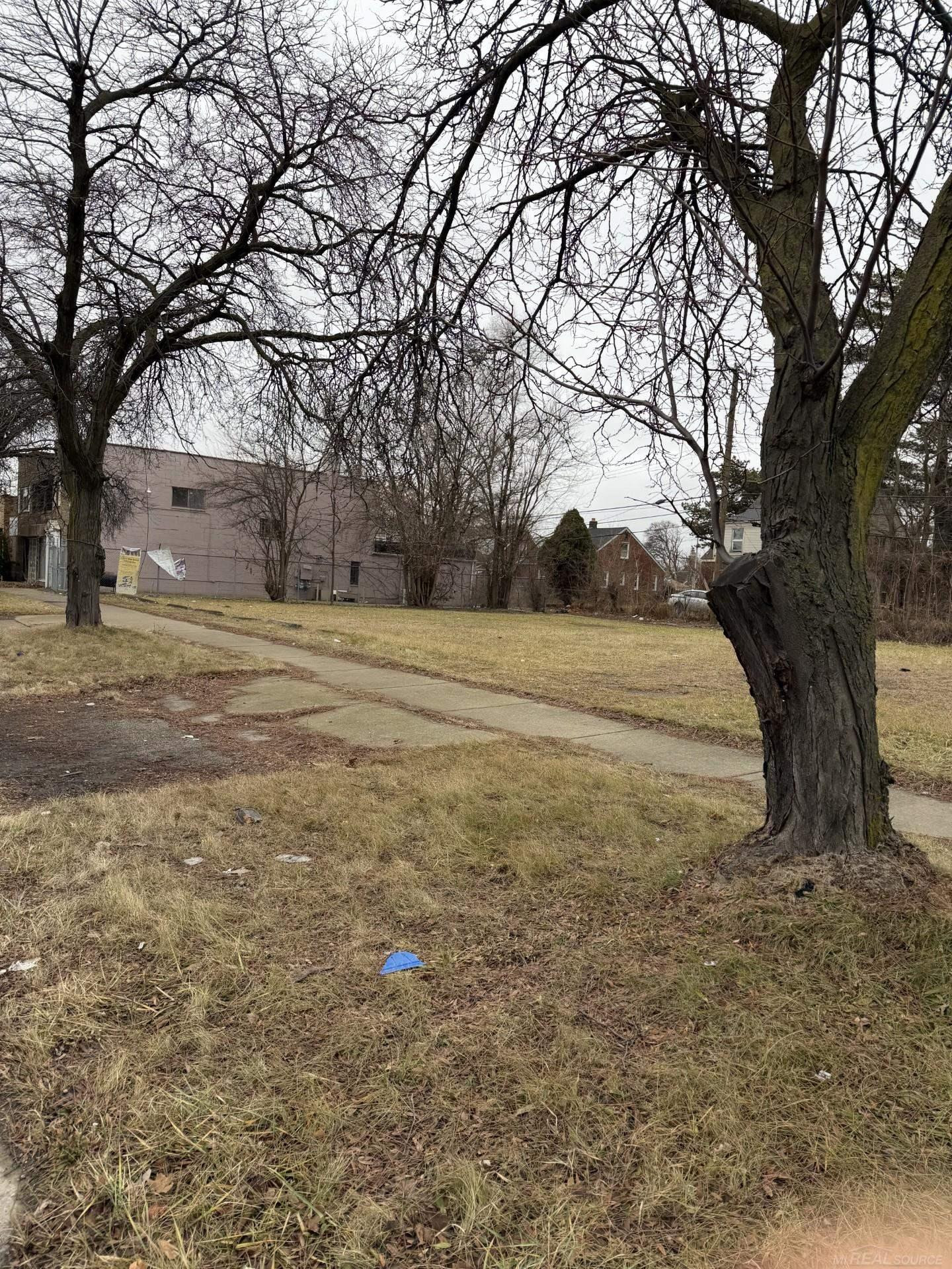 19371 VAN DYKE Street, Detroit, MI 48234 — Photo 5