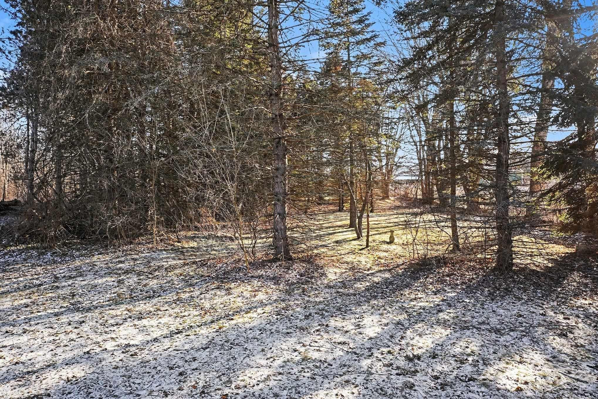 6935 Swan Creek Road, Saginaw, MI 48609 — Photo 21