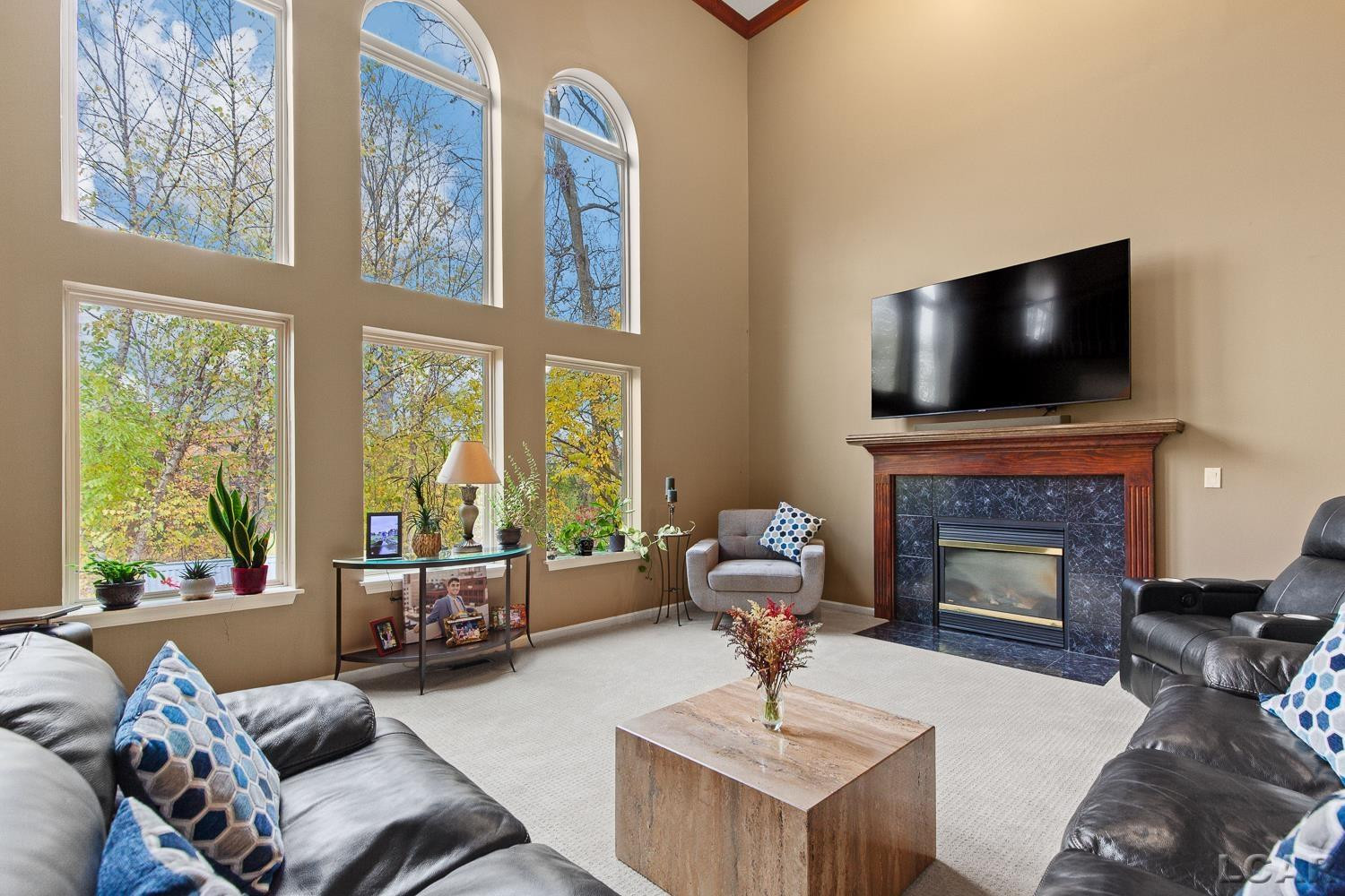 13000 Riviera Court, South Lyon, MI, 48178