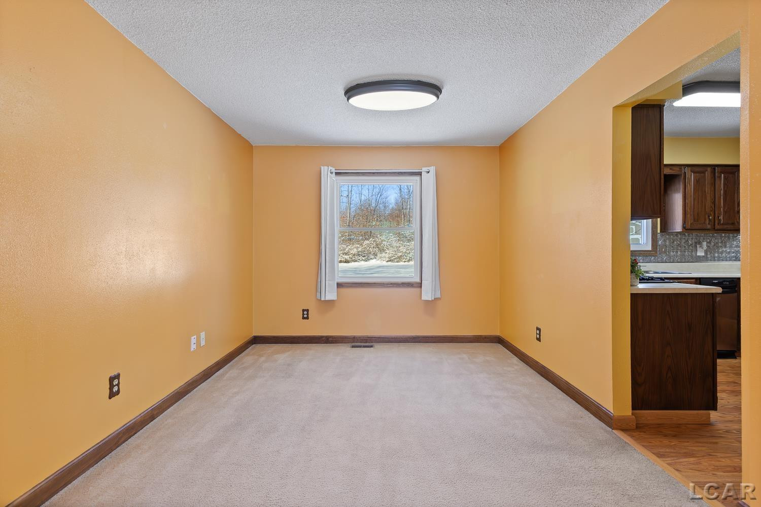 4194 Sauk Trail, Adrian, MI 49221 — Photo 6