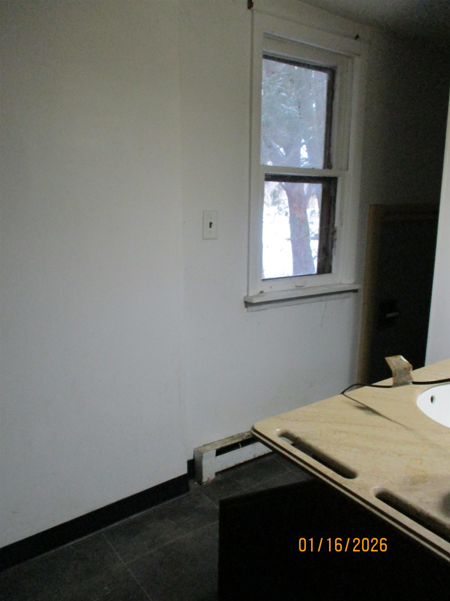 310 N Main Street, Vassar, MI 48768 — Photo 9