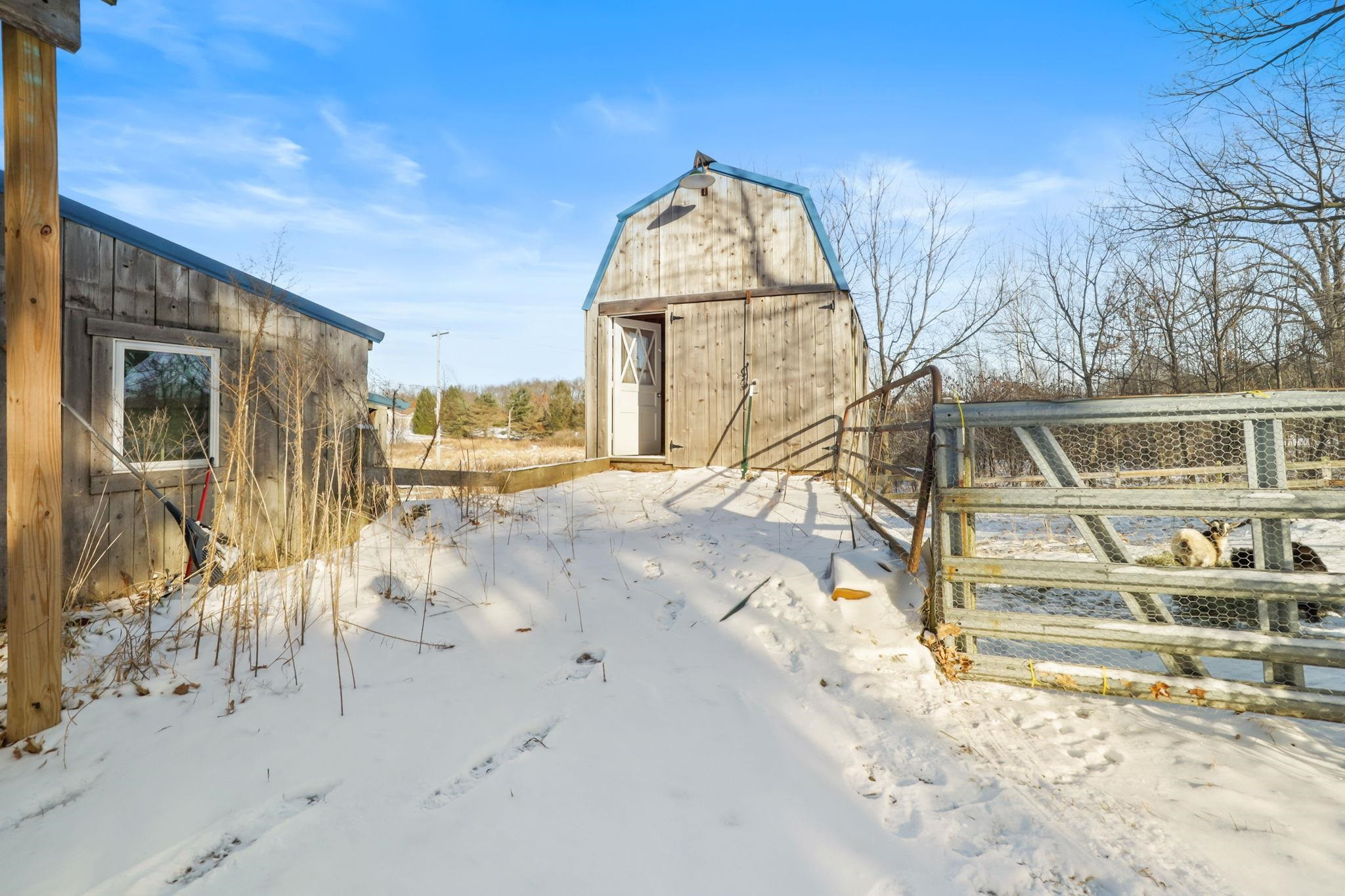 6446 W Beard Road, Perry, MI 48872 — Photo 16