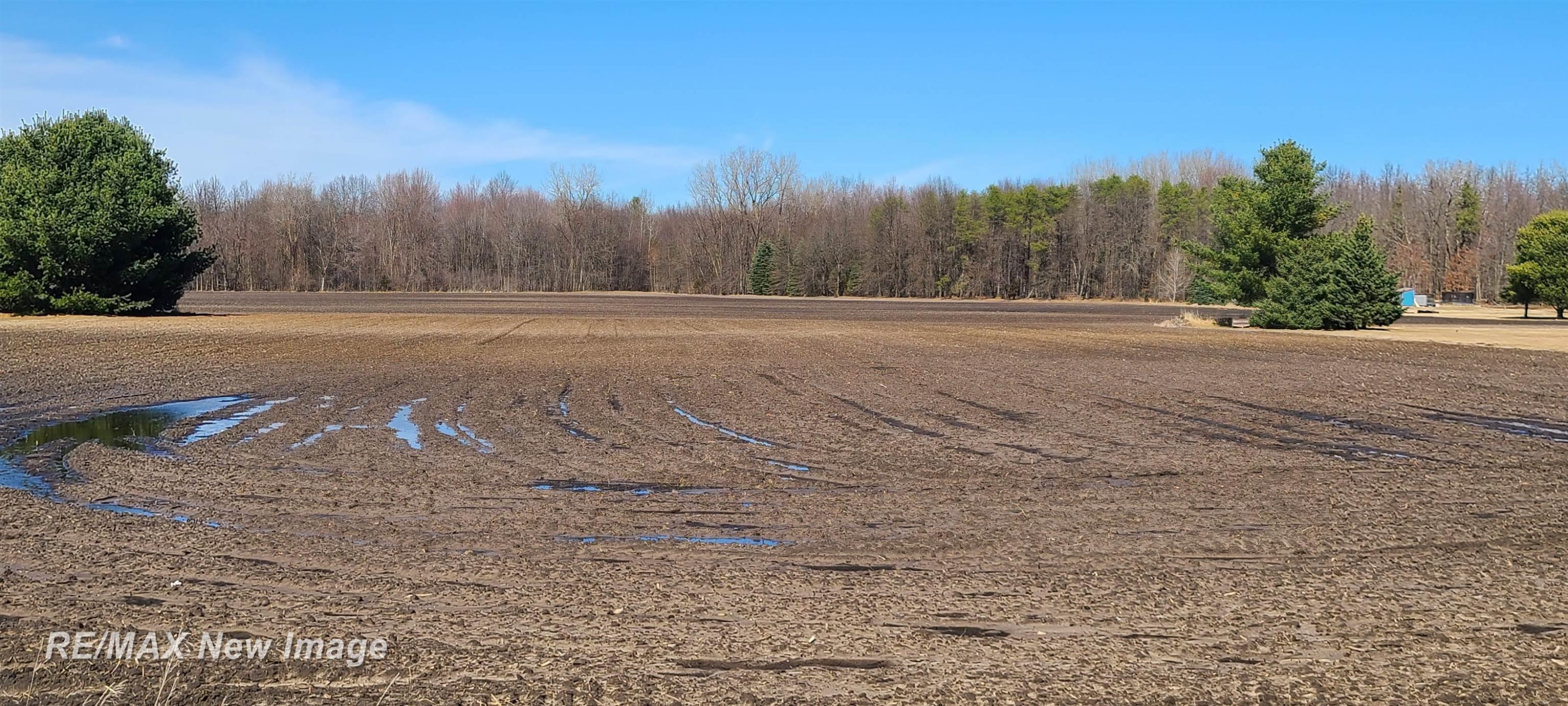 Search Homes for Sale