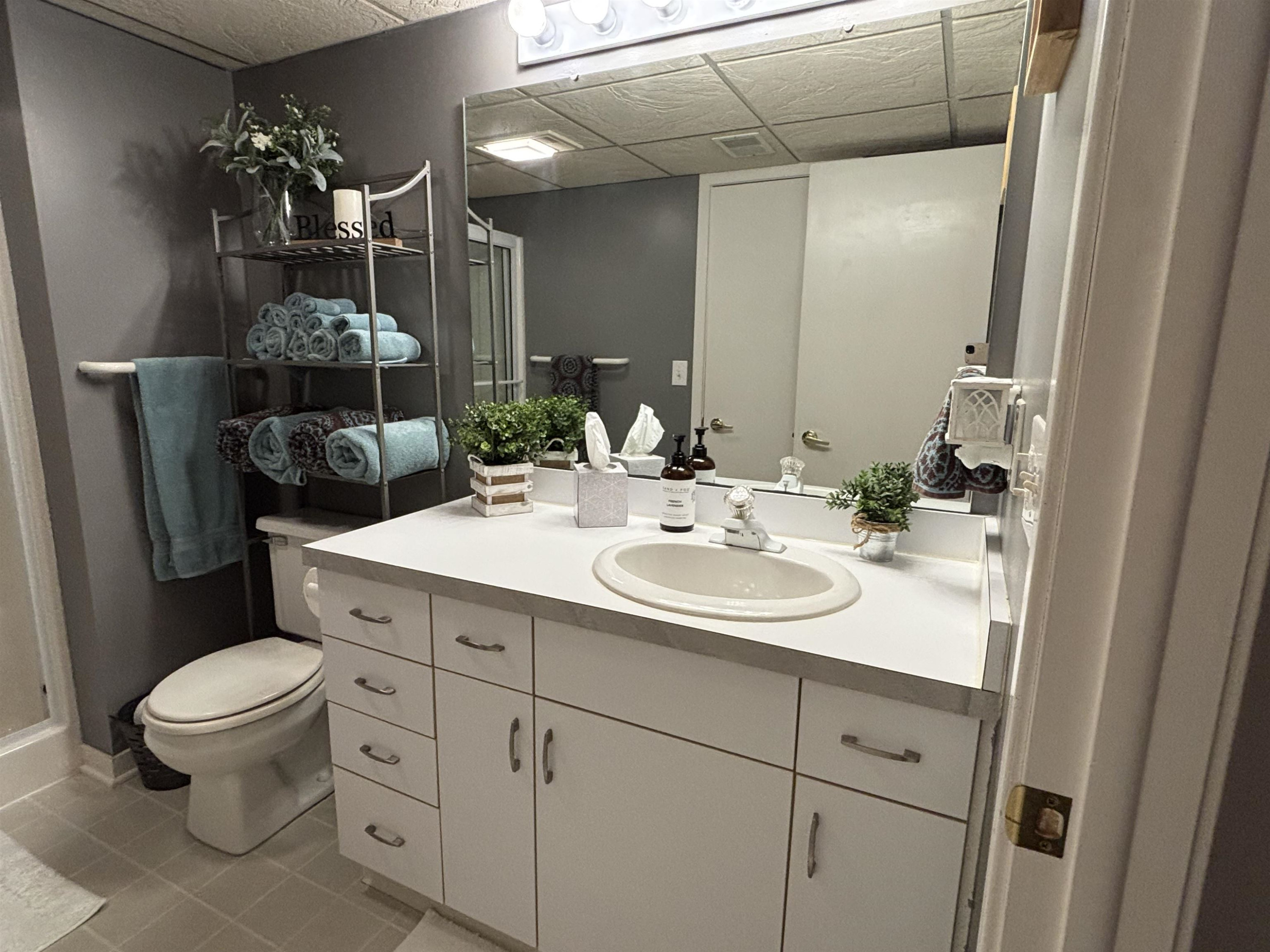 12 Wilshire Drive, Frankenmuth, MI 48734 — Photo 22