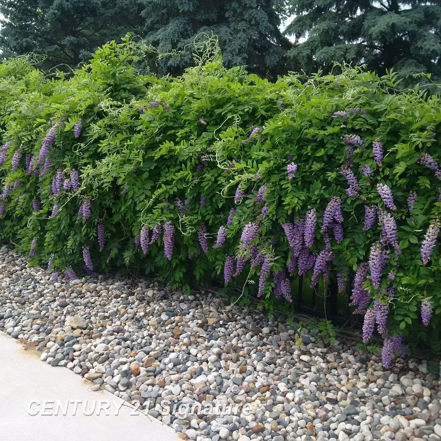 3500 Woodridge Court, Flushing, MI 48433 — Photo 67