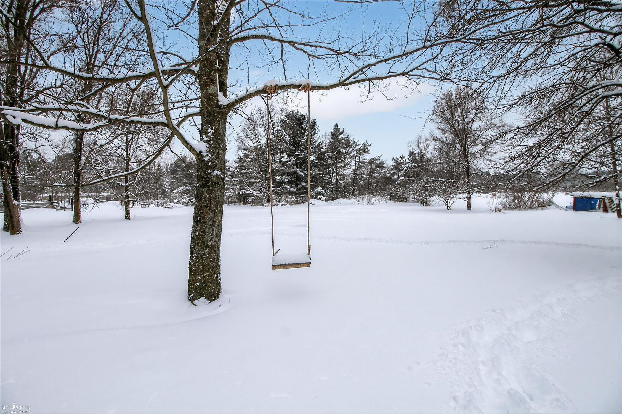 7460 3rd Street, Thompsonville, MI 49683 — Photo 34