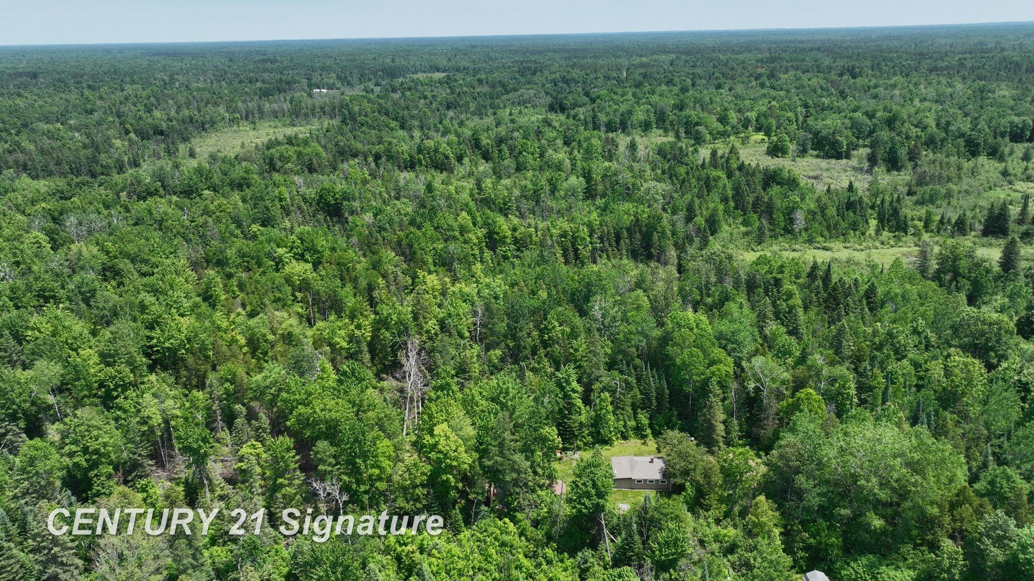 6002 Wildwood Drive, Alger, MI 48610 — Photo 2