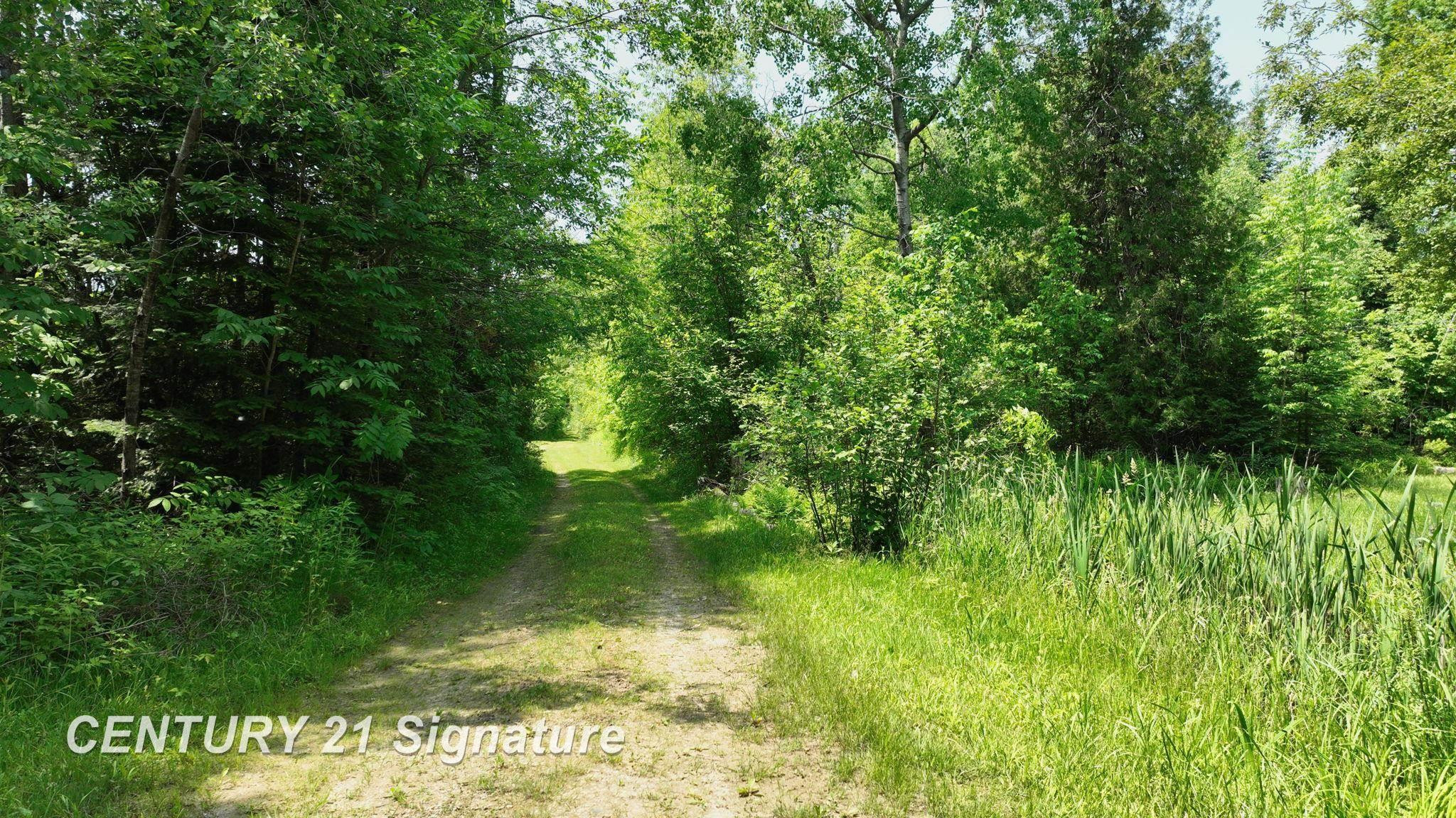 6002 Wildwood Drive, Alger, MI 48610 — Photo 4