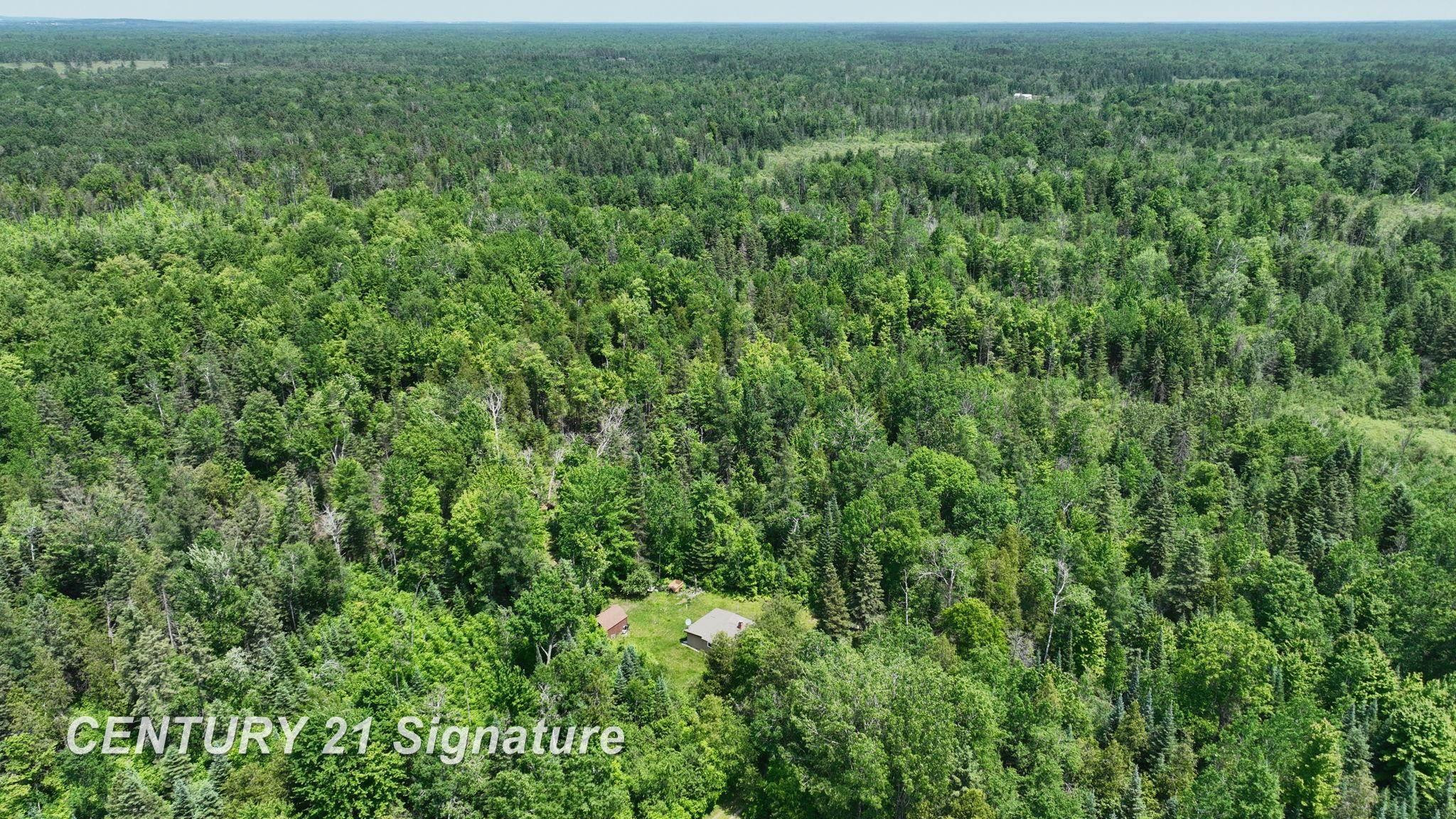 6002 Wildwood Drive, Alger, MI 48610 — Photo 43