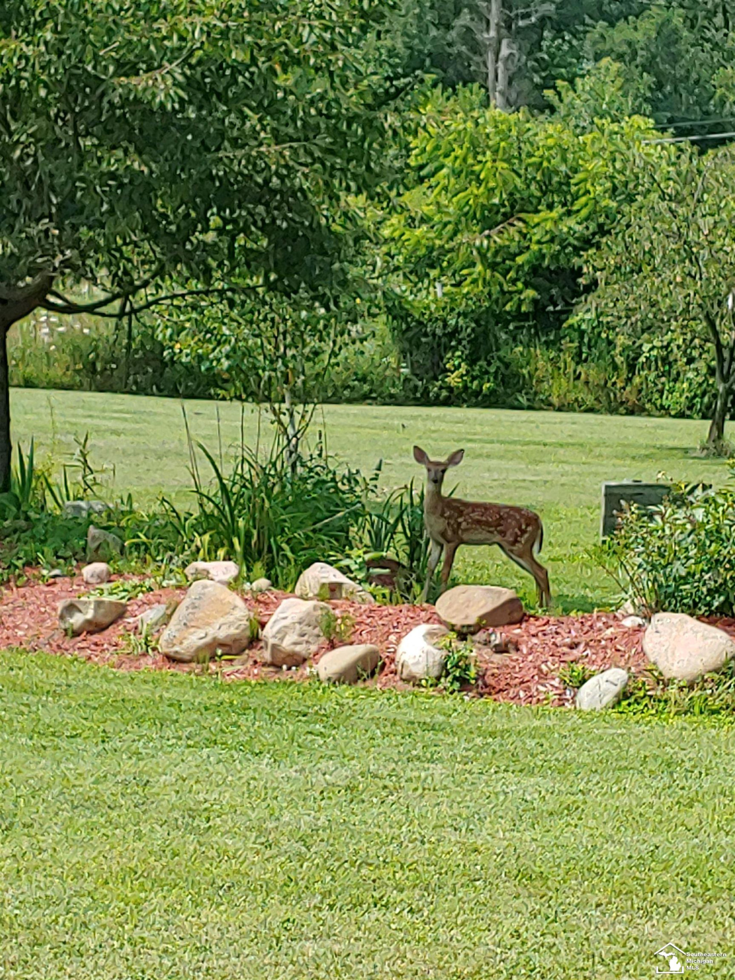 123 S Freer Road, Chelsea, MI 48118 — Photo 4