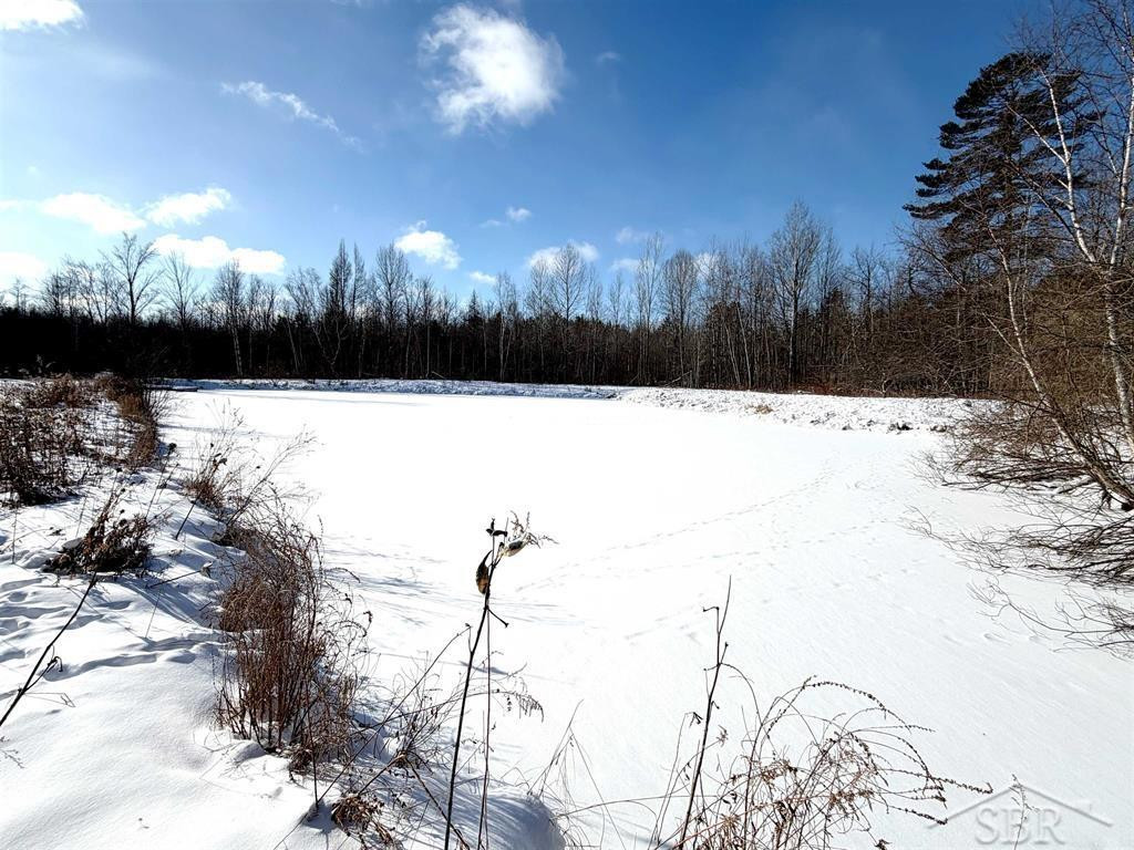 VL W Stockwell Road, Harrison, MI, 48625