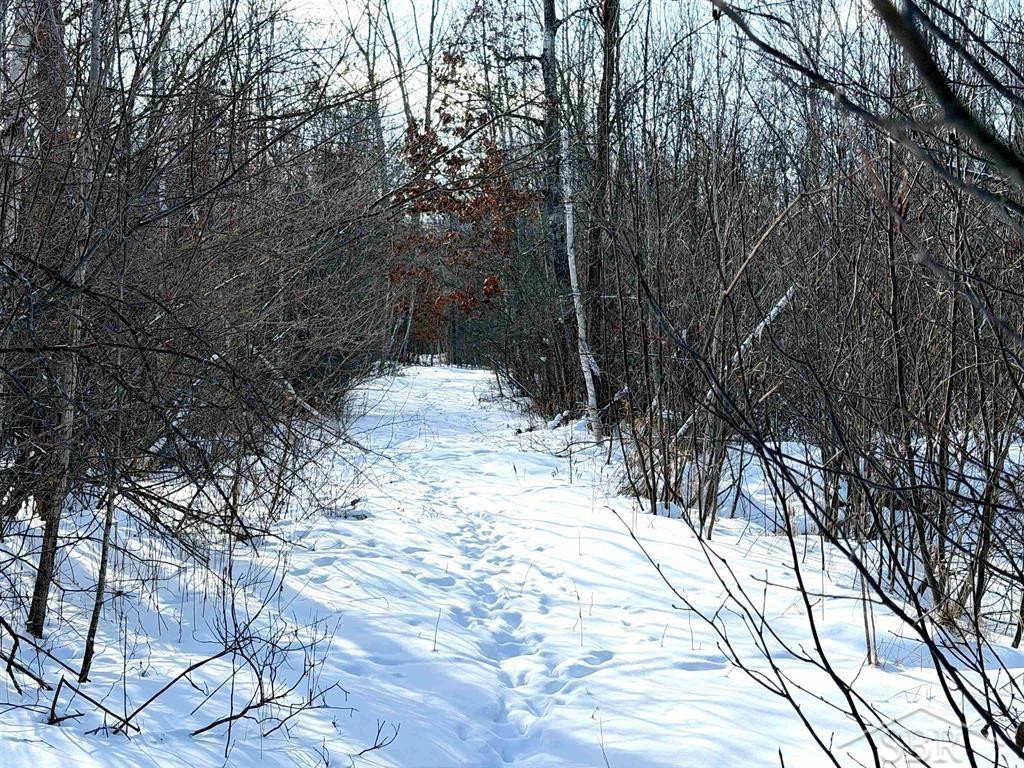 VL W Stockwell Road, Harrison, MI, 48625