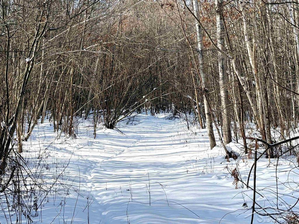 VL W Stockwell Road, Harrison, MI, 48625