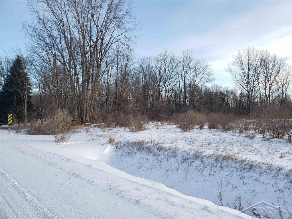5120 N Five Mile Road, Hope, MI 48628 — Photo 3